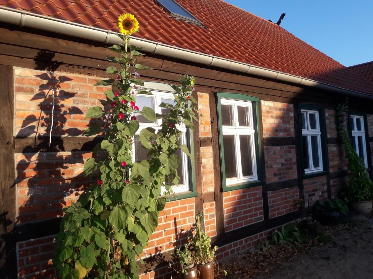 Pension Up'N Doerp Plattenburg Bagian luar foto